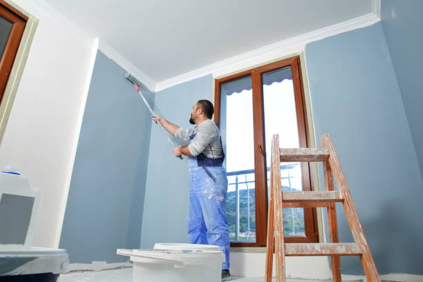 Best Drywall Sanding and Smoothing  in Homer Glen, IL